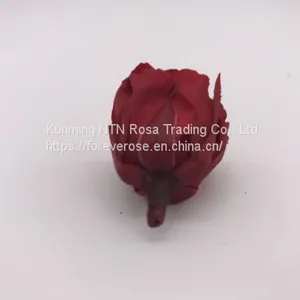 Factory Supply Wholesale A GRADE Best Quality China Preserved Roses thumbnail-4