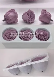 Beautiful Blue Rose for Floral Design Flowers Preservation for Anniversary Decoration thumbnail-2