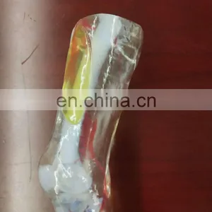 Surgical Training Manikin MJP 3D Printing Color Organ Model thumbnail-3