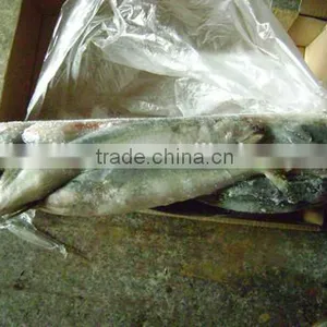 China Supplier Frozen Scomber Japonicus thumbnail-1