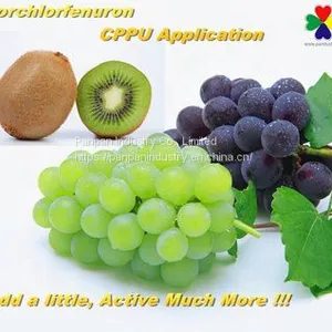 Plant Hormone Cppu Forchlorfenuron 1%sp for Grape thumbnail-3