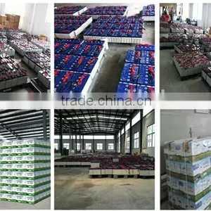 24V 120AH POWER SUPPLY UPS BATTERY WITH DEEP CYCLE thumbnail-5