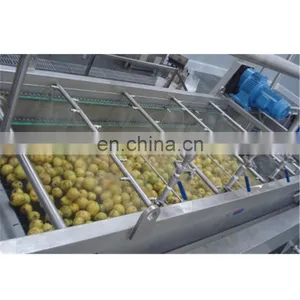 Vegetable Washing Machine thumbnail-5