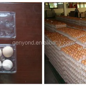 Full Automatic 8000 Pieces Per Hour Egg Washing Separation Machine Production Line thumbnail-5