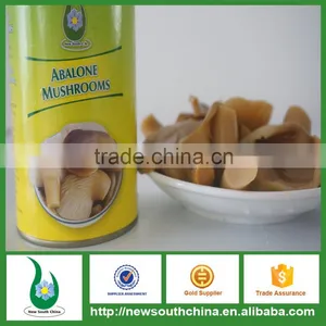 Canned Abalone Mushrooms Slice for America thumbnail-1