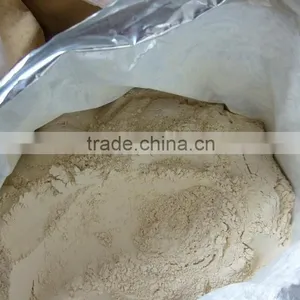 Garlic Powder thumbnail-1