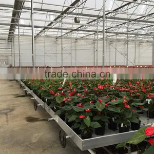 Greenhouse Ebb and Flood Bench Rolling Bench thumbnail-1
