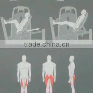 TZ-6016 Fitness Equipment / Leg Press Machine /Horizontal Leg Press thumbnail-4