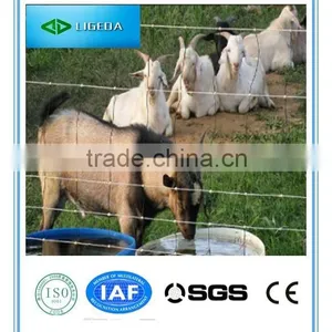Hinged Joint Cattle Fencing thumbnail-1