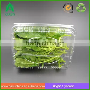 Plastic Clear Fruit Vegetable Packaging Box thumbnail-6