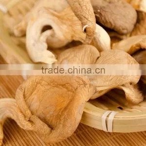 Low Price Abalone Fungus China thumbnail-6