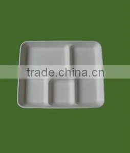 Biodegradable Lunch Tray thumbnail-1