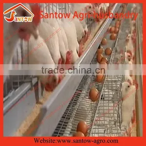 Chicken Use Welded Wire Chicken Layer Cages Mechanized Poultry Farming Equipment thumbnail-1