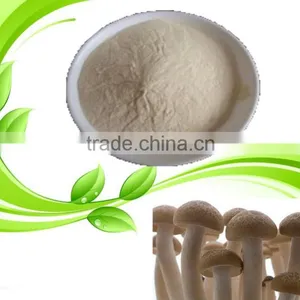 Kosher Fungal Chitosan thumbnail-3