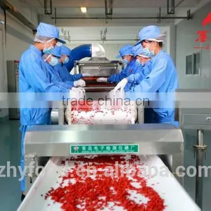 Low Pesticide Goji Berry 380grains/50g thumbnail-4