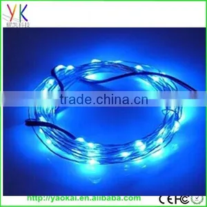 High Brightless Best Quality and Wholesale Price Decorative Led Lights thumbnail-1