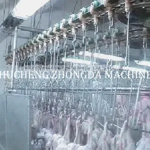Good Quality and Price Slaughtering House From Zhucheng Zhongda thumbnail-1