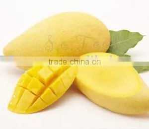 Mango thumbnail-1