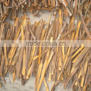 Split Cassia/Cinnamon Vietnam (SKYPE: VISIMEX09) thumbnail-6