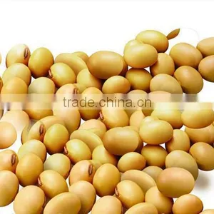 Organic Soybean With Nutritional Value Yellow Soy Beans thumbnail-1