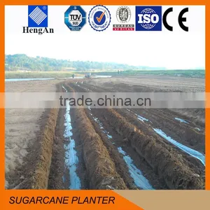 2rows Sugarcane Planter With Fertilizing thumbnail-4