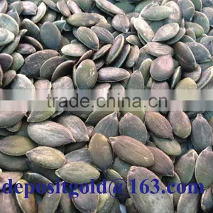 Grown Without Shell Pumpkin Seeds Grade AA thumbnail-4