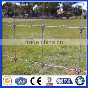 Anping Deming Produce Crosslock Knot Field Fence thumbnail-1