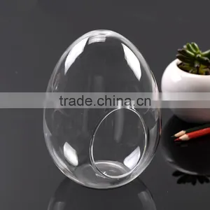Micro Landscape Ecological Egg Shape Meaty Plant Glass Vase DIY Glass Moss thumbnail-1