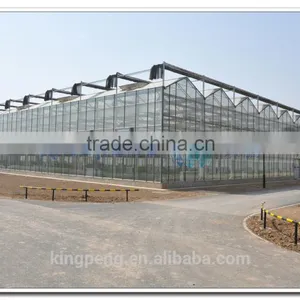 Hot-sale Tempered Glass Greenhouse thumbnail-3