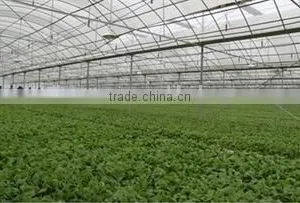 Polycarbonate Greenhouse thumbnail-3