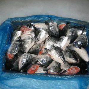 Atlantic Salmon Fish, Salmon Belly, Salmon Backbone, Salmon Head, Salmon HOG, Norwegian Salmon HG, Salmon Oil, Caviar thumbnail-4