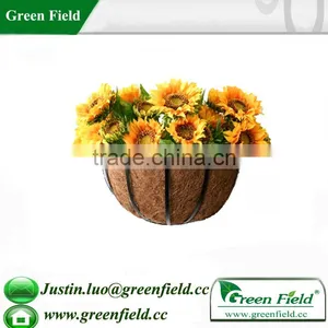 Horticulture Wall Planter thumbnail-1
