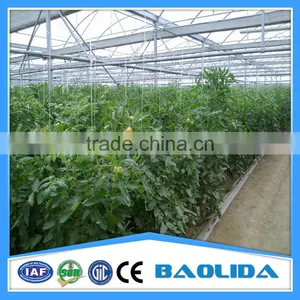 Commercial PC Sheet Greenhouse For Sale/Used For Vegetable&Fruit thumbnail-1