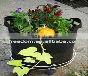 Garden Tomato Planter Bags thumbnail-3