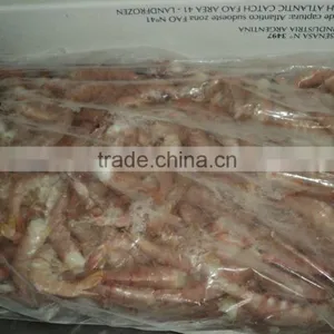 Frozen Pink Shrimp thumbnail-3