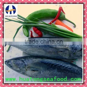Frozen Bonito 300-500g thumbnail-1