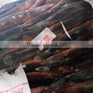 Illex Argentinus Squid Frozen Seafood thumbnail-4