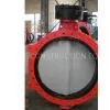 Double Flange Butterfly Valve thumbnail-1