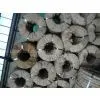 Blue Strapping Band thumbnail-3