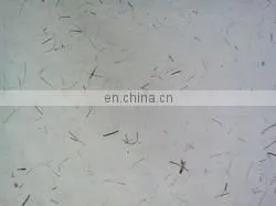 Banana Fibre Plant Handmade Papers thumbnail-1