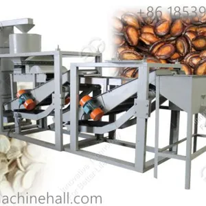 High Effiency Watermelon Seeds Peeling Machine for Sale Supplier China Factory thumbnail-2