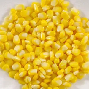Imported Fresh Sweet Corn Natural Fresh Sweet Corn Food Prices Premium Low Price Fresh Sweet Corn Top Sweet Corn thumbnail-3