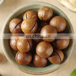 Macadamia Nuts Tapping Machine Macadamia Nuts Tapping Machine thumbnail-6