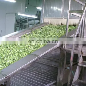Deep Freezer Machine Individual Quick Freezing Equipment Frozen Fruit Machine thumbnail-1