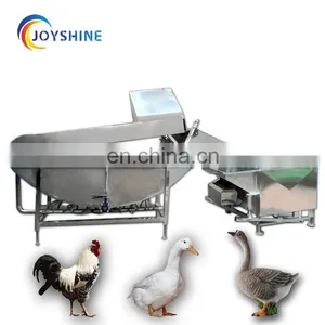 Mini Poultry Slaughter Equipment/duck Slaughter Machine Halal Chicken Slaughter Machine for Sale thumbnail-2