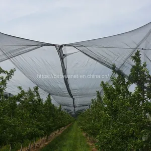 100% Virgin Material and Mould Plastic Anti Hail Net thumbnail-4