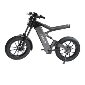 IVelo New Arrival Fat Tire 20 Inch 1000W Ebike 48V 13AH Long Range Electric Dirt Bike City Bicycle thumbnail-1