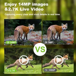 Ringsee 4G Hunting Camera 4MP 1080P Animal Trap Camera Waterproof Night Vision Trail Hunting Camera With 7800mAh Battery thumbnail-5