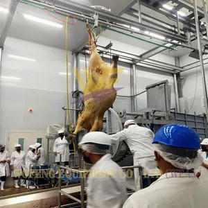 Whole Cow Slaughtering Line CE Certification Cattle Abattoir Machinery Beef Butcher Equipment Meat Processing Factory thumbnail-1