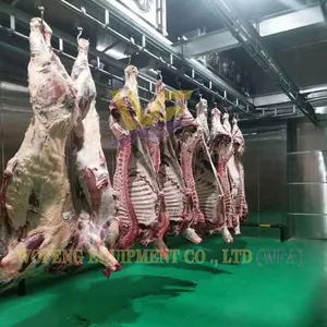 800 Cattle Per Shift Butchery Machinery Beef Abattoir Equipment Slaughterhouse for Cows and Lamb Mutton Beef Processing Line thumbnail-3
